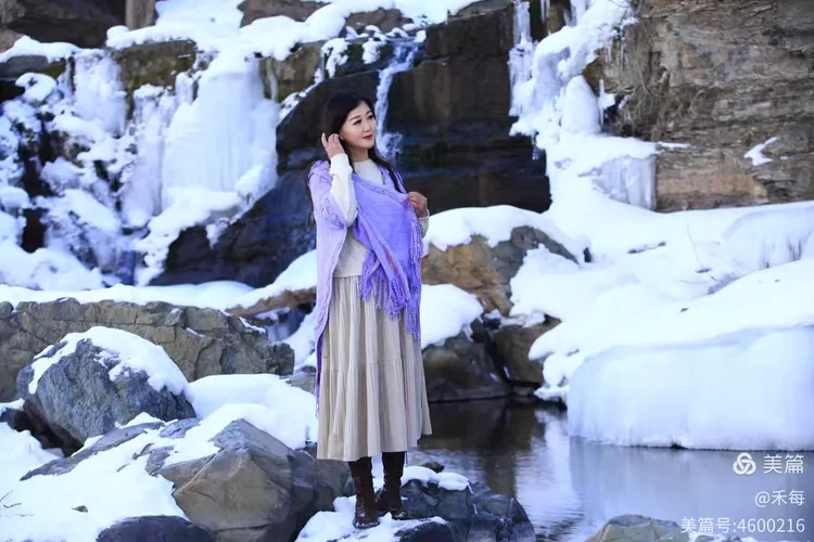 雪落无声添诗意 | 冬日静美韵自出